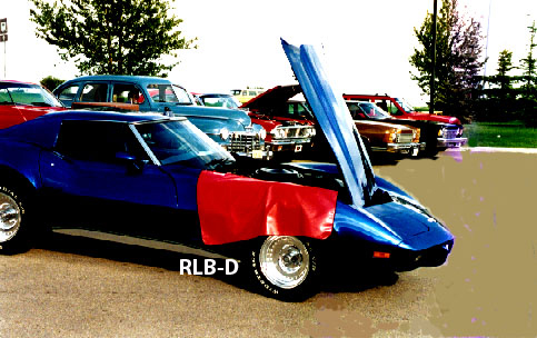 Corvette with Netcore's RLB-D fender cover