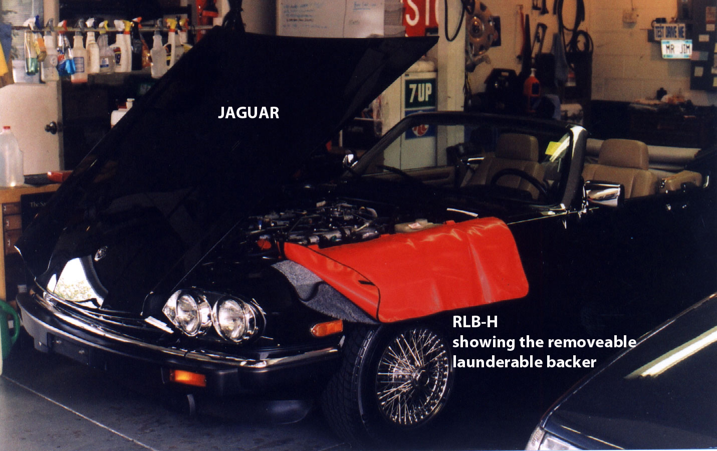 Jaguar with Netcore RLB-H fender cover