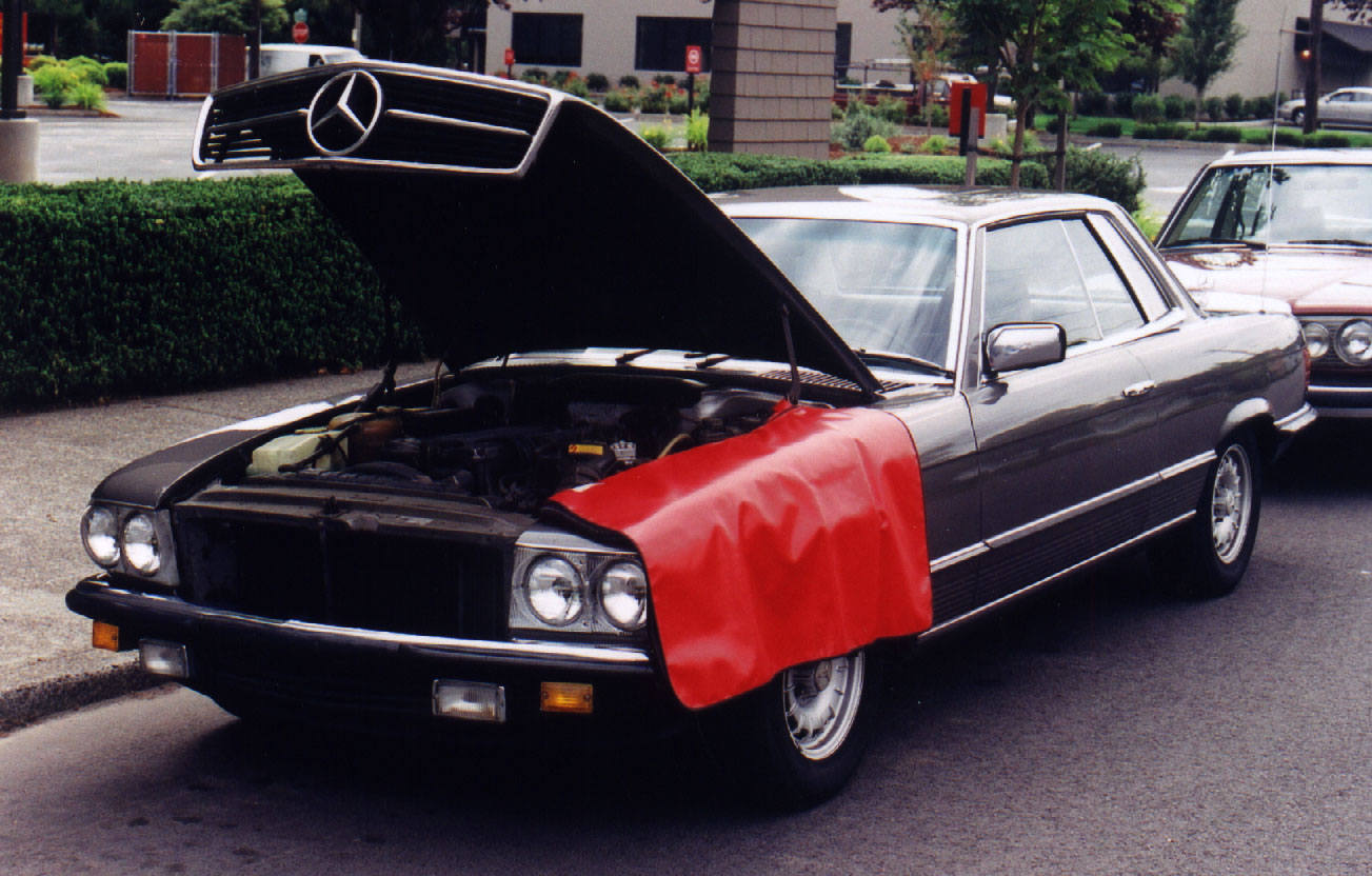 RLB-D fender cover on Mercedes